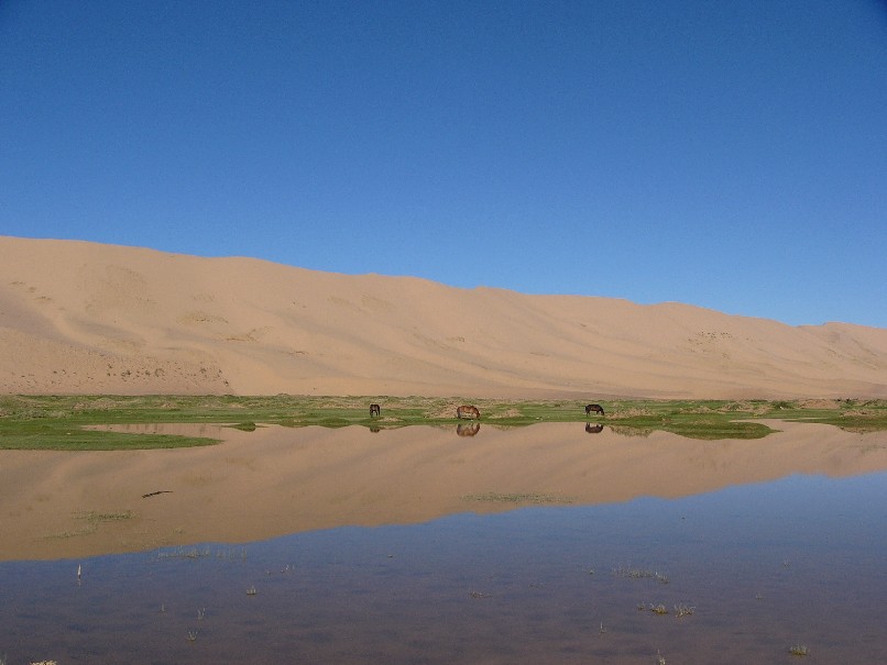 photos dsert gobi mongolie